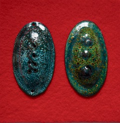Split eggs still twins