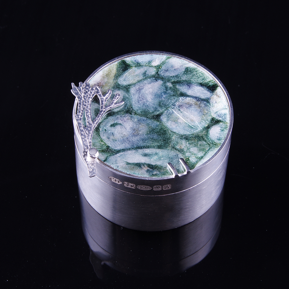 Rock Pool silver box with enamelled brooch lid