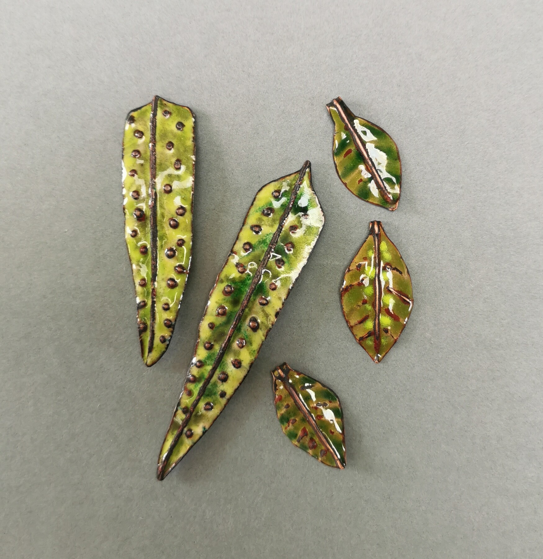Leaf and fern collection