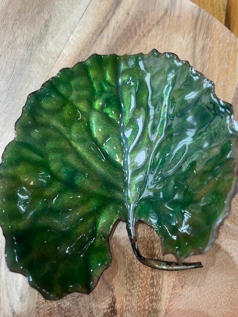 Nature at its Best