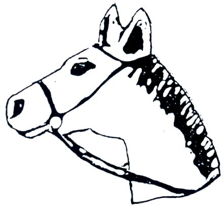 Autumn1997 JBK 1