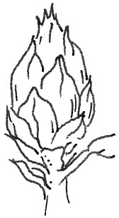2004Autumn sketch clock 1