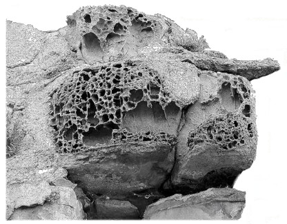 Texture 1