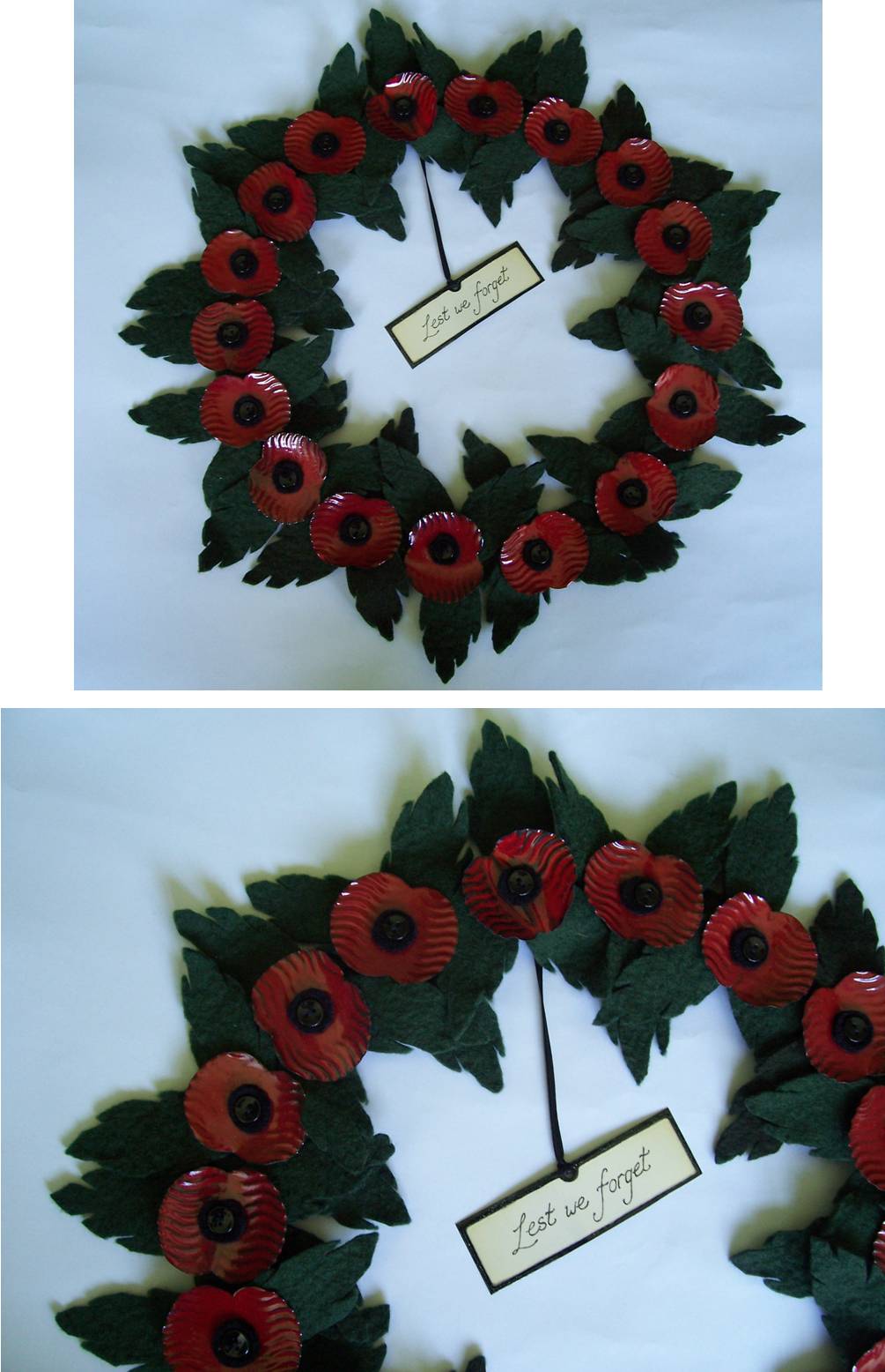 2014Autumn poppy 1