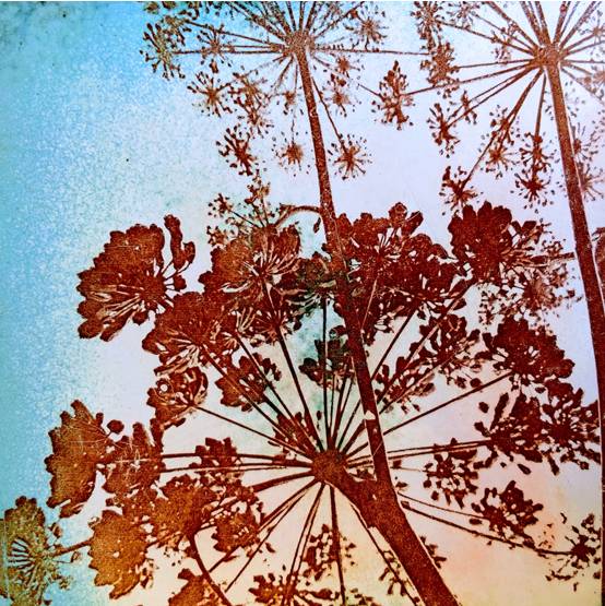 2020Autumn JH 1